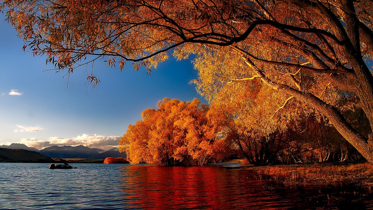 ニュージーランドの紅葉を楽しむなら南島 ベストスポット5選 Nz観光 ニュージーランド旅行記ブログ