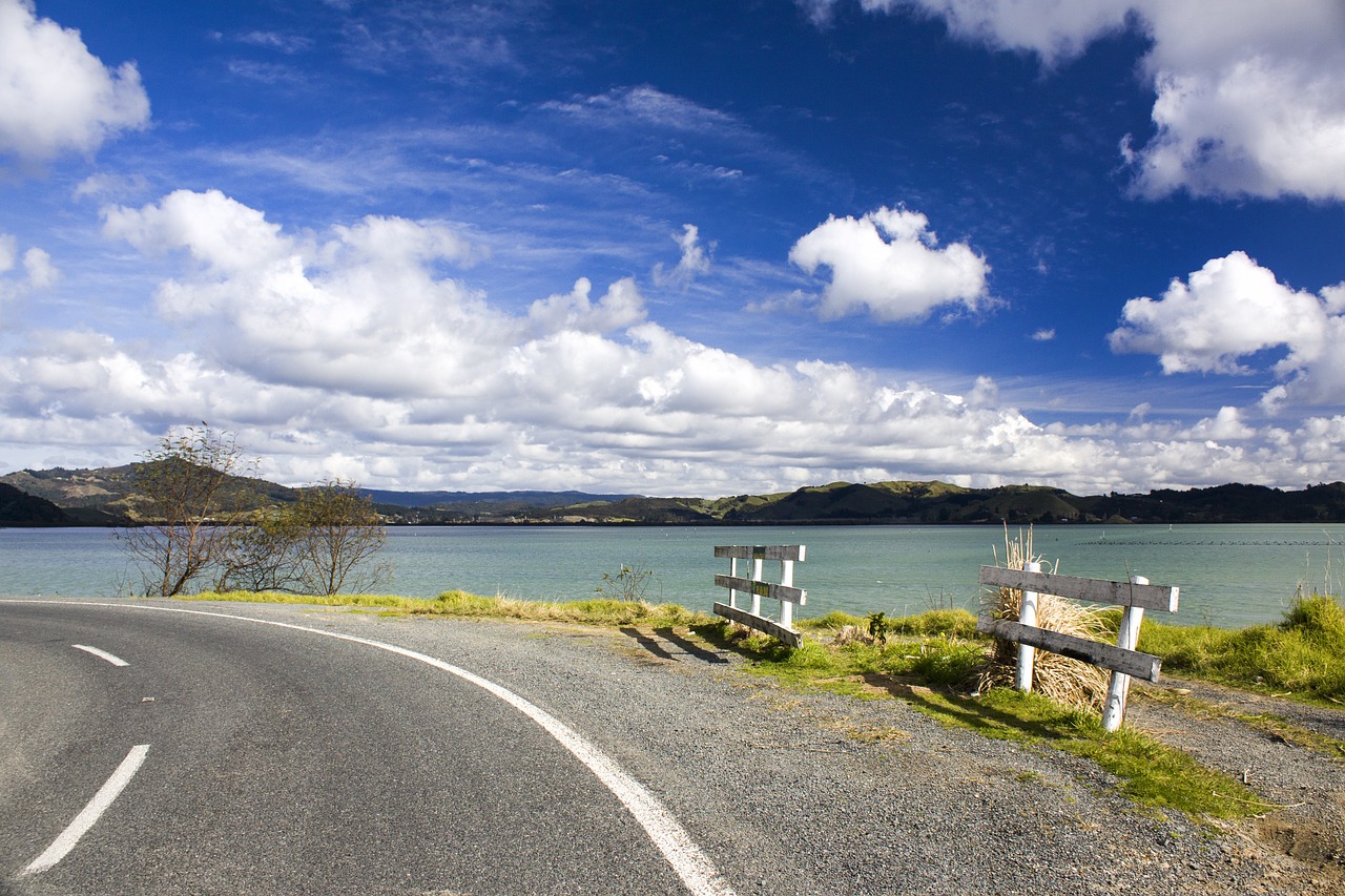 ニュージーランド　道路