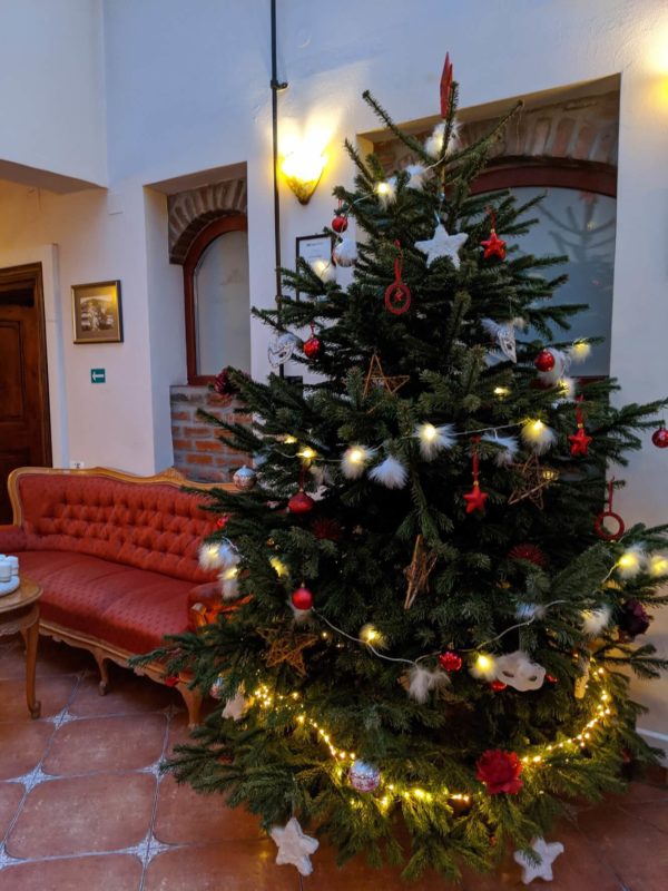 ブラショフCasa Wagner　クリスマスツリー