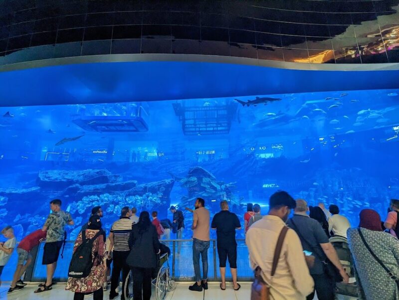 ドバイ水族館（Dubai Aquarium）