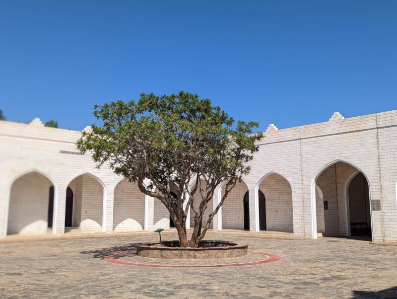 アル＝バリードの考古遺跡