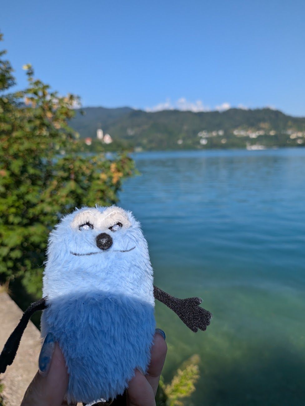 ひとり旅なので相棒をつれてきました